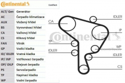 Kladka, sada rozvodu motoru, CT1044WP1, s vodní pumpou, AUDI  A3 (8L1) [96-03]